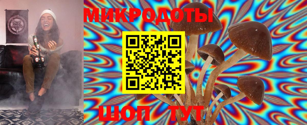 Псилоцибиновые грибы Psilocybe  Вход с VPN  Галлюциногенные грибы Psilocybe  Сергиев Посад 