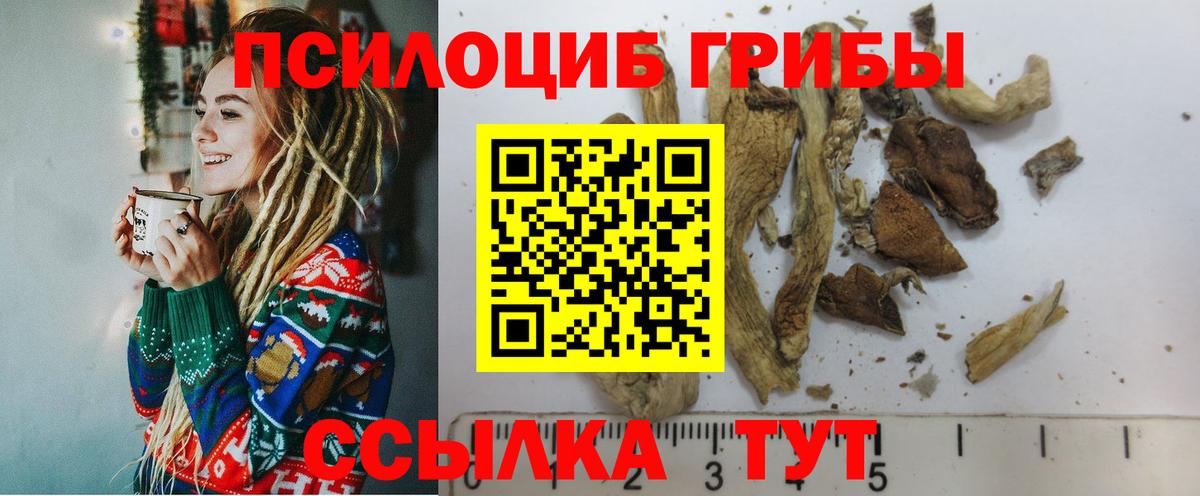 Псилоцибиновые грибы Magic Shrooms Сергиев Посад